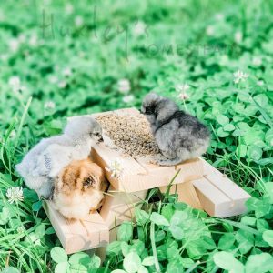 Mini Picnic Table | Chick and Squirrel Table